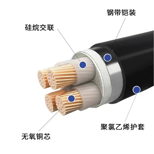 xinlongkcp.com