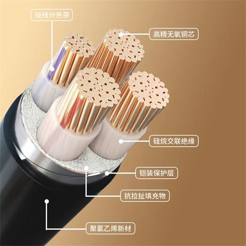 xinlongkcp.com