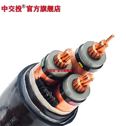 xinlongkcp.com