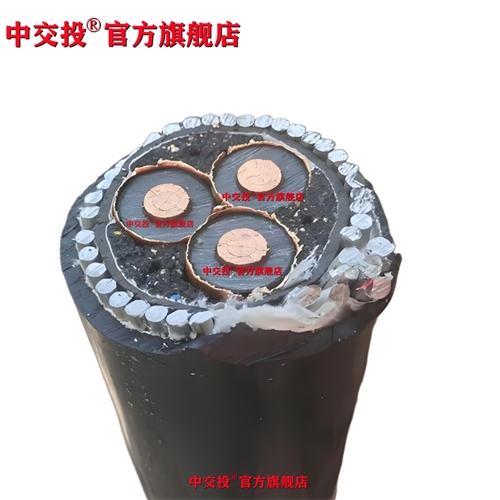 xinlongkcp.com