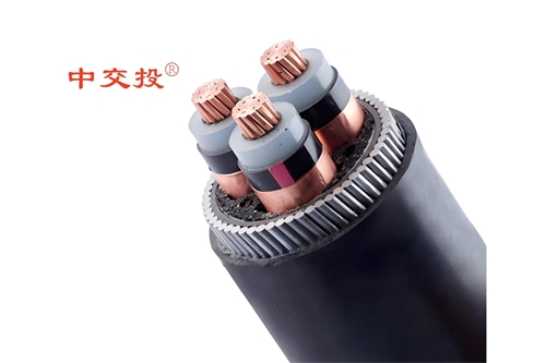 xinlongkcp.com