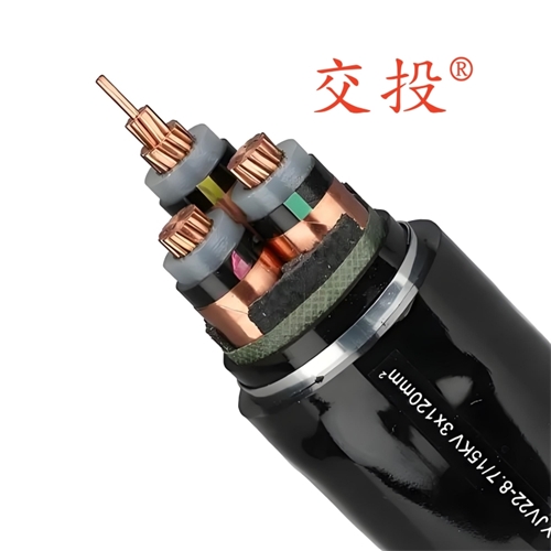 xinlongkcp.com